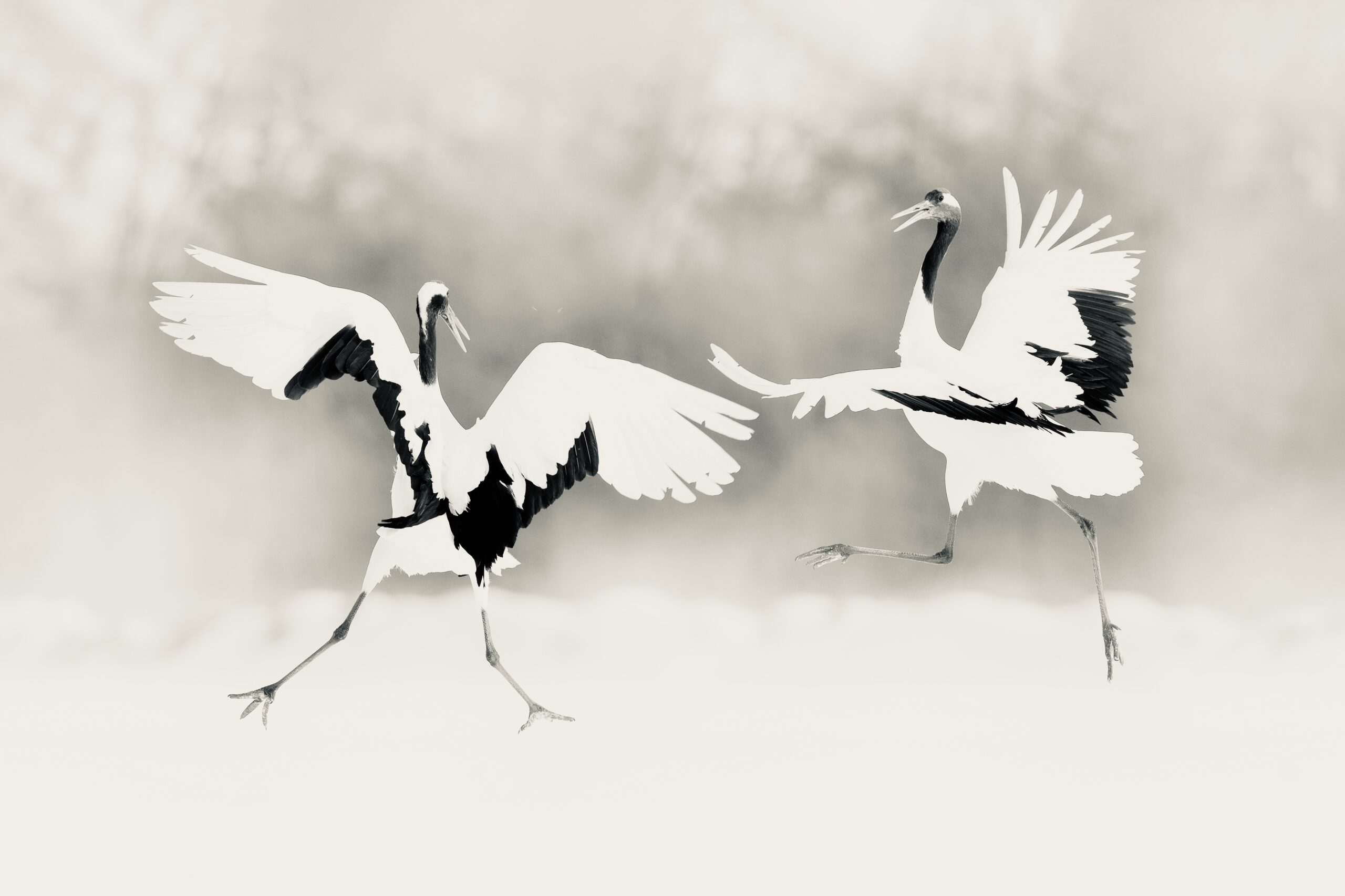 Boom Chakra Laka - Conscious Dance in Vienna mit dunkelbunt